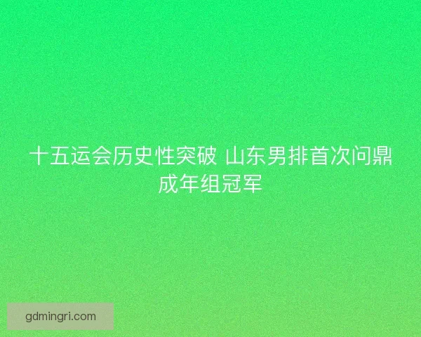 十五运会历史性突破 山东男排首次问鼎成年组冠军